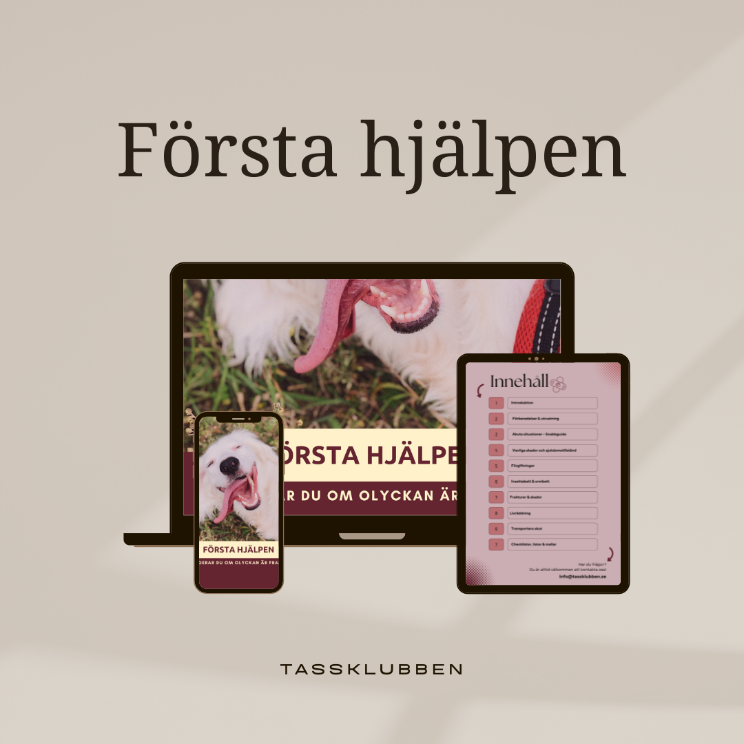 E-bok Första hjälpen