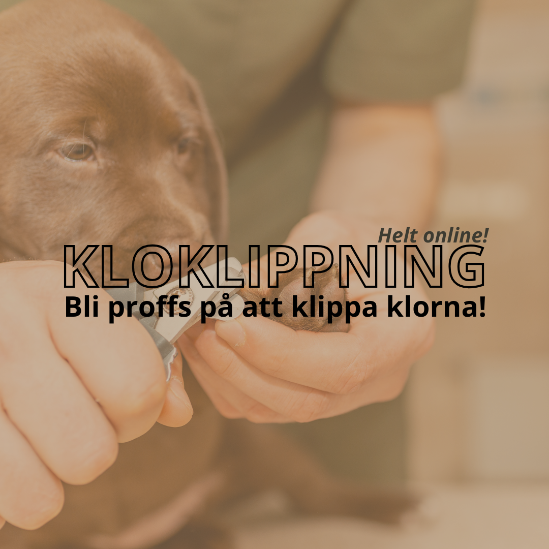 Lugnt och klippt