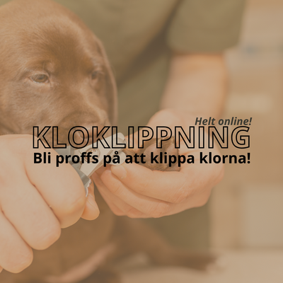 Lugnt och klippt